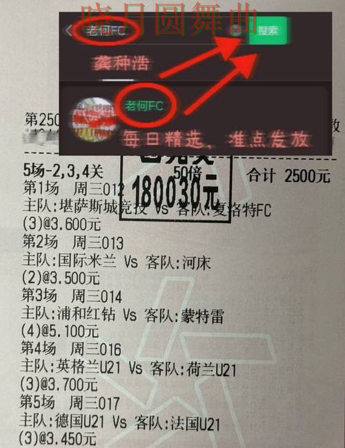 世界杯投注官网法国焦点战数据怎么用 世界杯投注官网法国焦点战数据怎么用